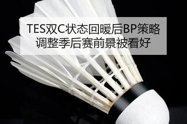 TES双C状态回暖后BP策略调整季后赛前景被看好（CrownSPORTS）